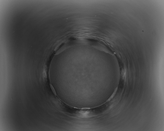X0000089720570200706281533