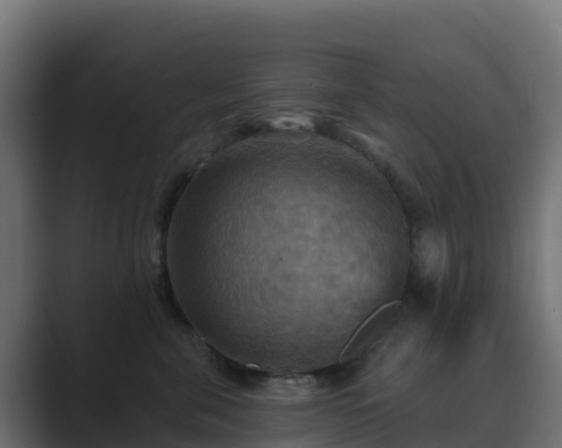 X0000089720571200706281533