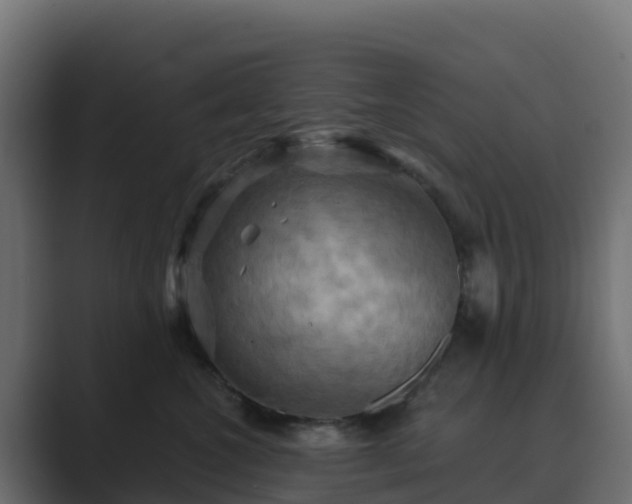 X0000089720572200706281533