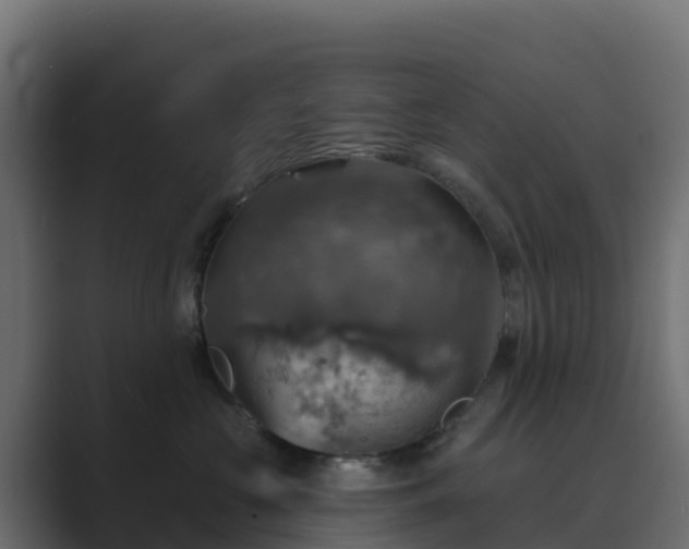 X0000089720573200706281533