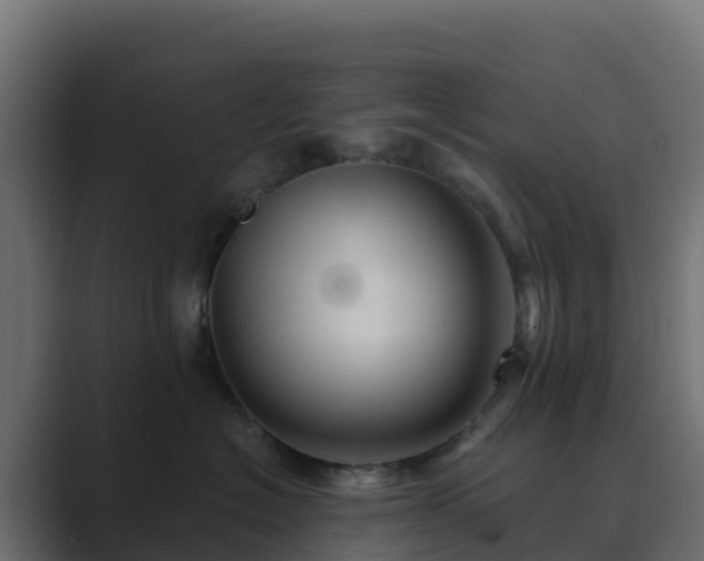X0000089720574200706281533