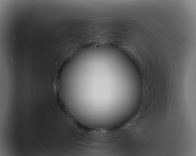 X0000089720576200706281533