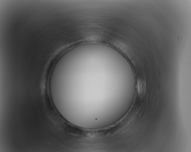 X0000089720579200706281532