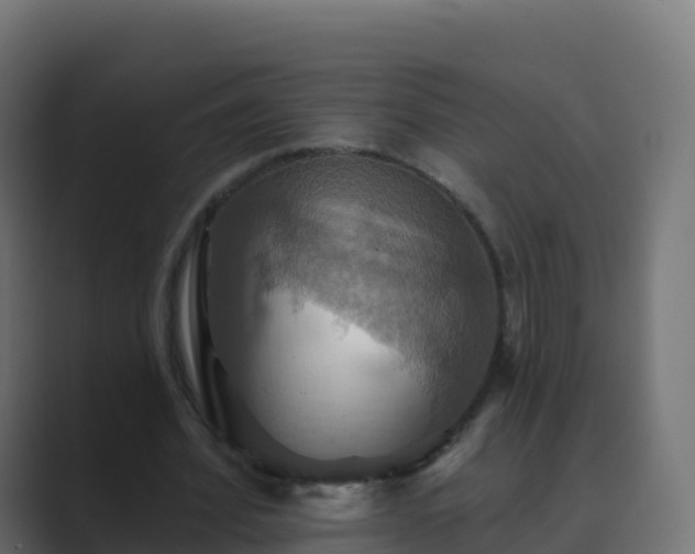 X0000089720580200706281532