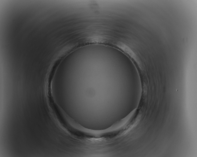 X0000089720581200706281532