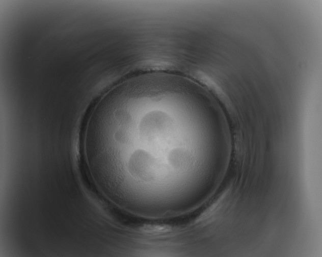 X0000089720582200706281532