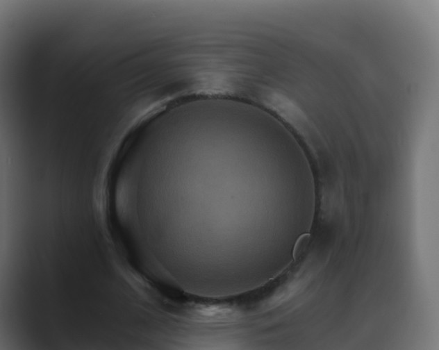 X0000089720584200706281532