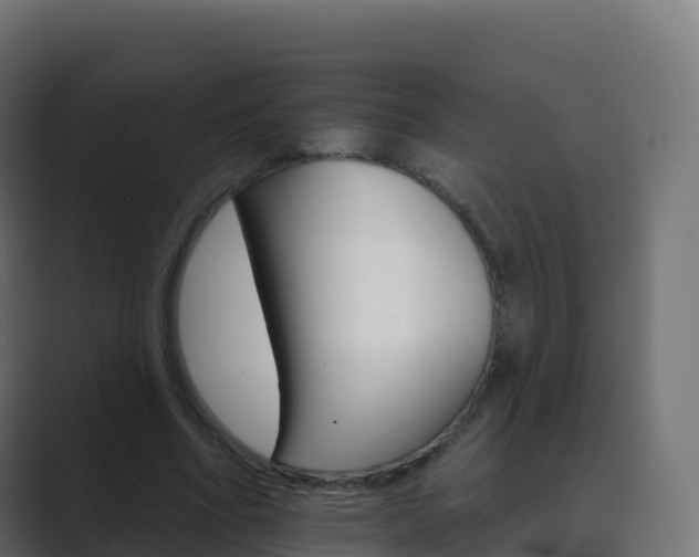 X0000089720586200706281532