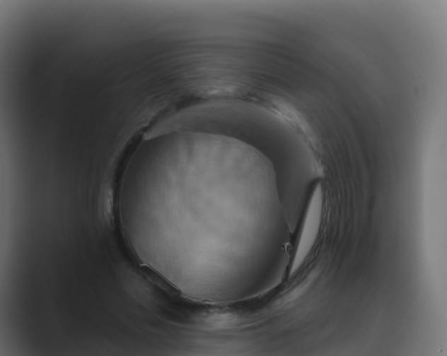 X0000089720589200706281532