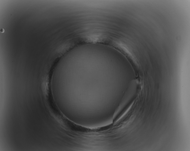 X0000089720590200706281532