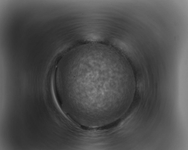 X0000089720591200706281532