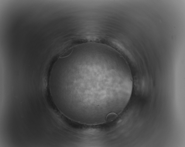 X0000089720593200706281532