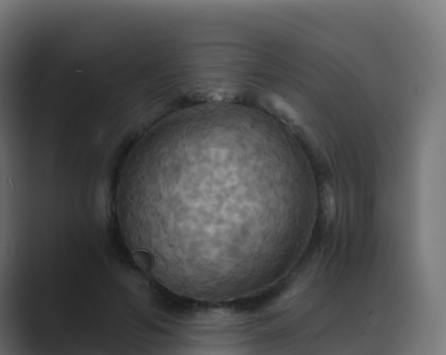 X0000089720594200706281532