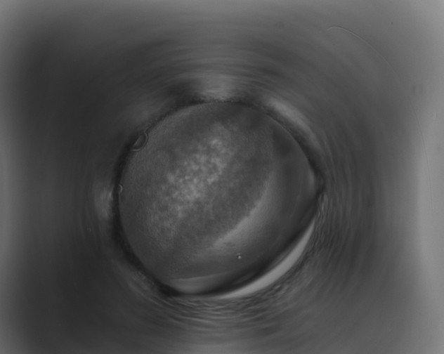 X0000089720596200706281532