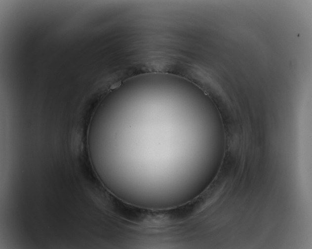 X0000089720599200706281532