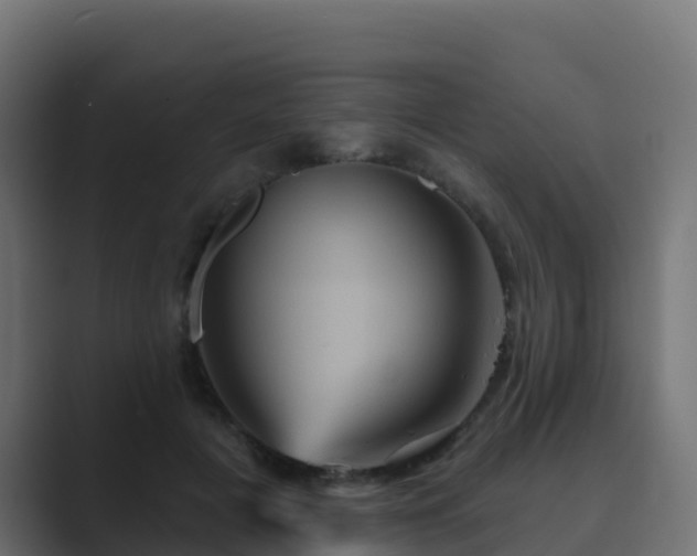 X0000089720601200706281532