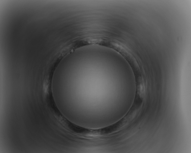 X0000089720604200706281532