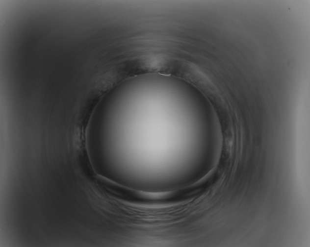 X0000089720605200706281532