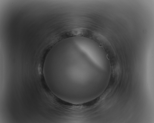 X0000089720606200706281532