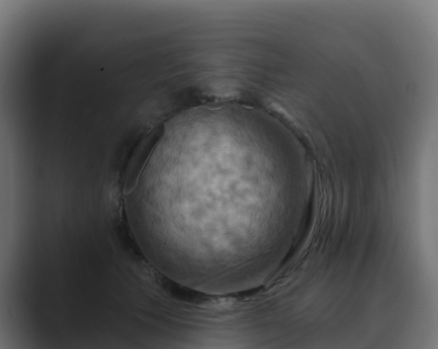 X0000089720609200706281532