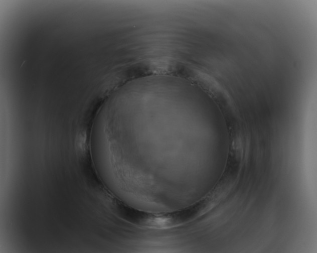 X0000089720610200706281532