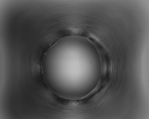 X0000089720613200706281532