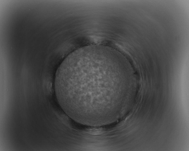 X0000089720615200706281532