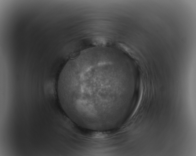 X0000089720616200706281532