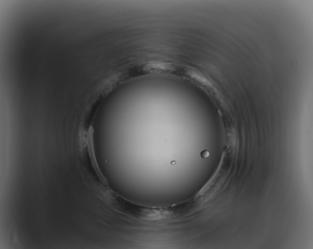 X0000089720621200706281532