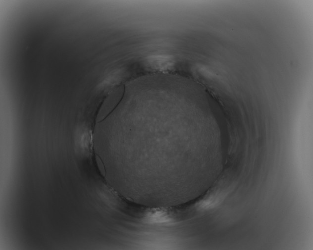 X0000089720624200706281532