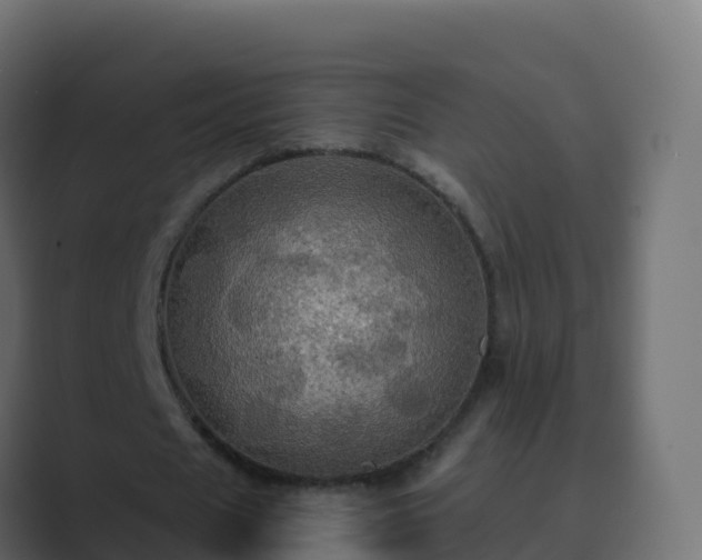 X0000089720625200706281531