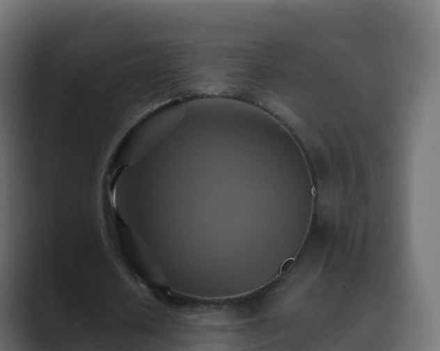 X0000089720626200706281531
