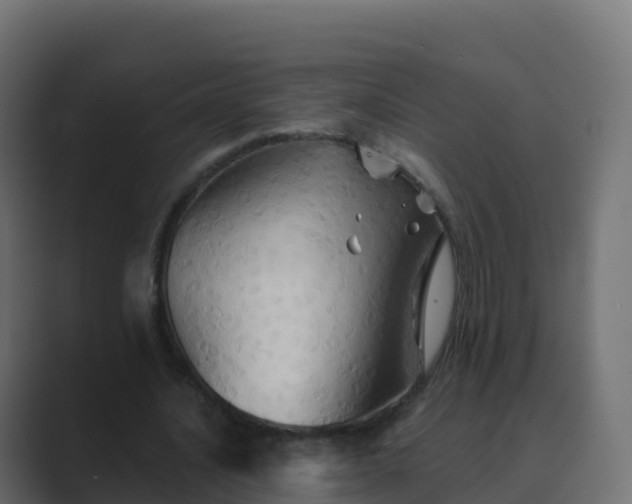 X0000089720628200706281531