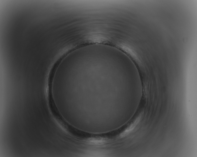 X0000089720630200706281531