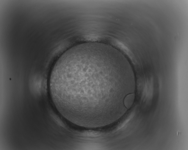 X0000089720633200706281531
