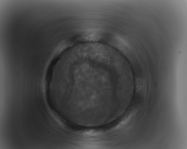 X0000089720634200706281531