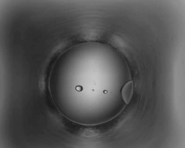 X0000089720635200706281531