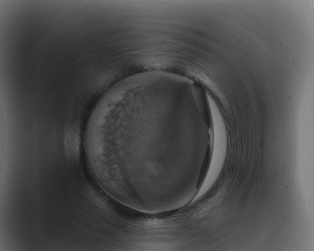 X0000089720637200706281531