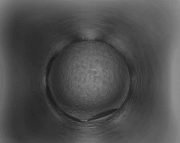 X0000089720638200706281531