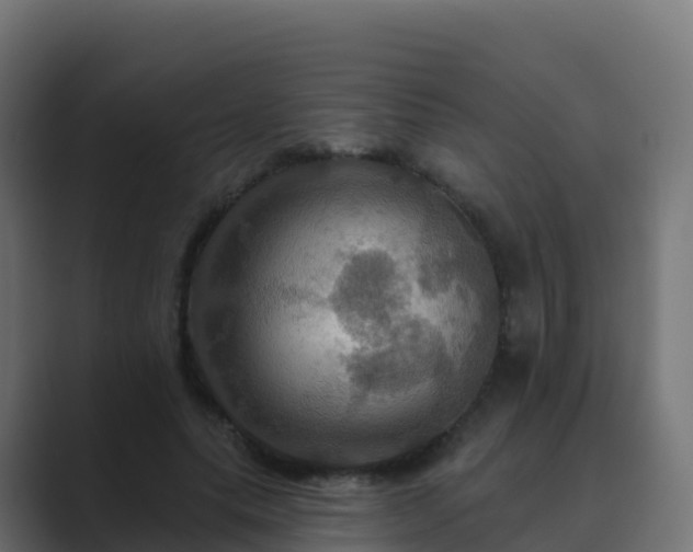 X0000089720639200706281531