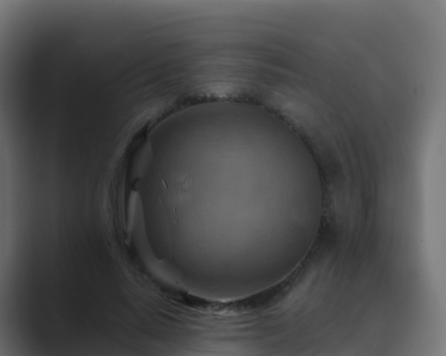 X0000089720640200706281531