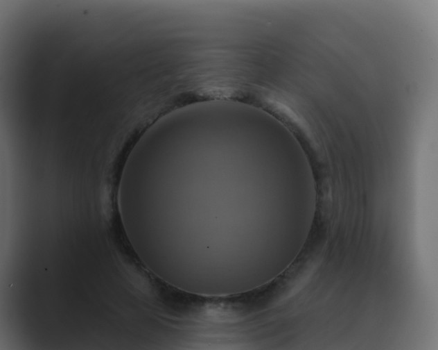 X0000089720641200706281531