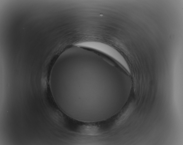 X0000089720644200706281531