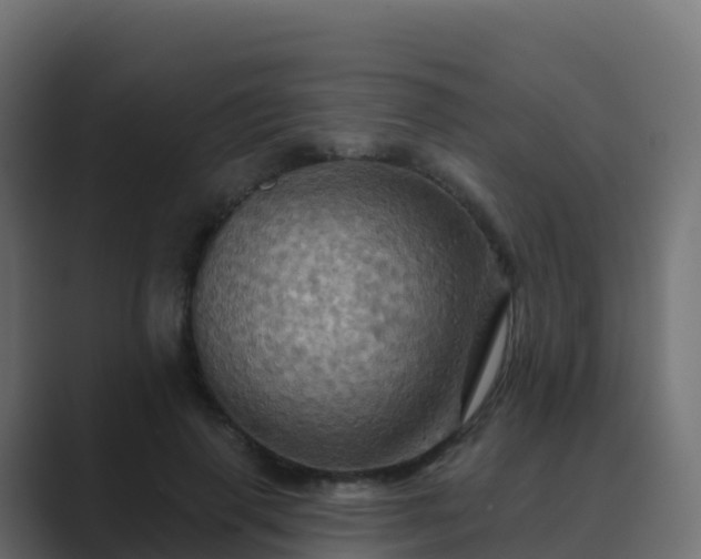 X0000089720645200706281531