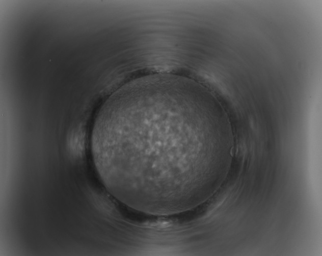 X0000089720647200706281531