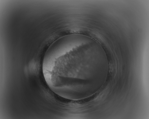 X0000089720648200706281531