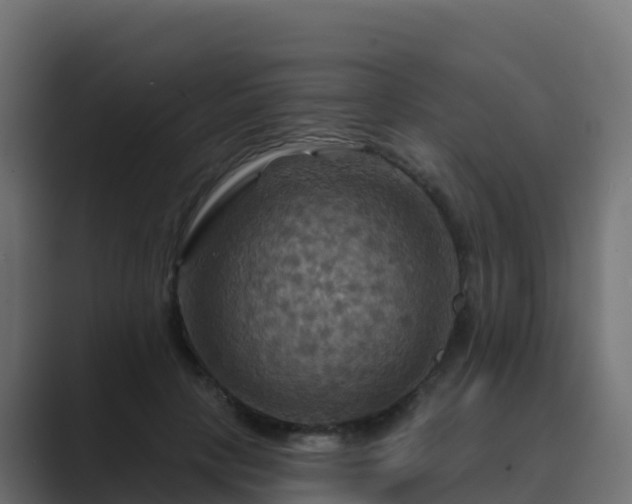 X0000089720649200706281531