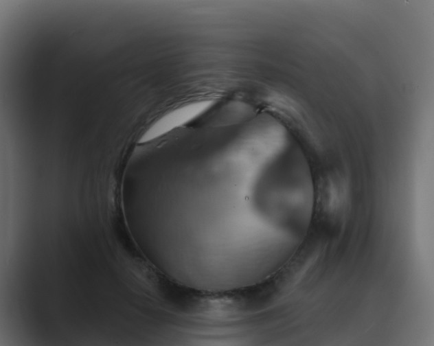 X0000089720650200706281531