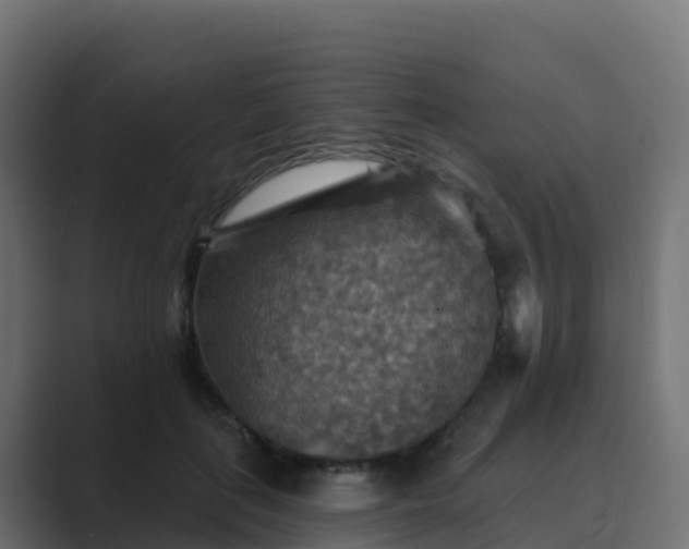 X0000089720651200706281531