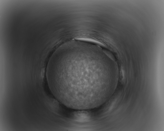 X0000089720652200706281531